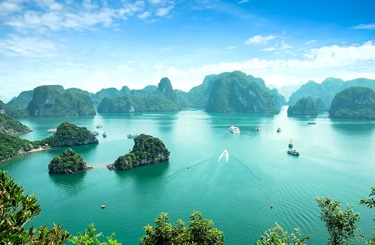 1749028069 Halong Bay Vietnam From Above Gettyimages