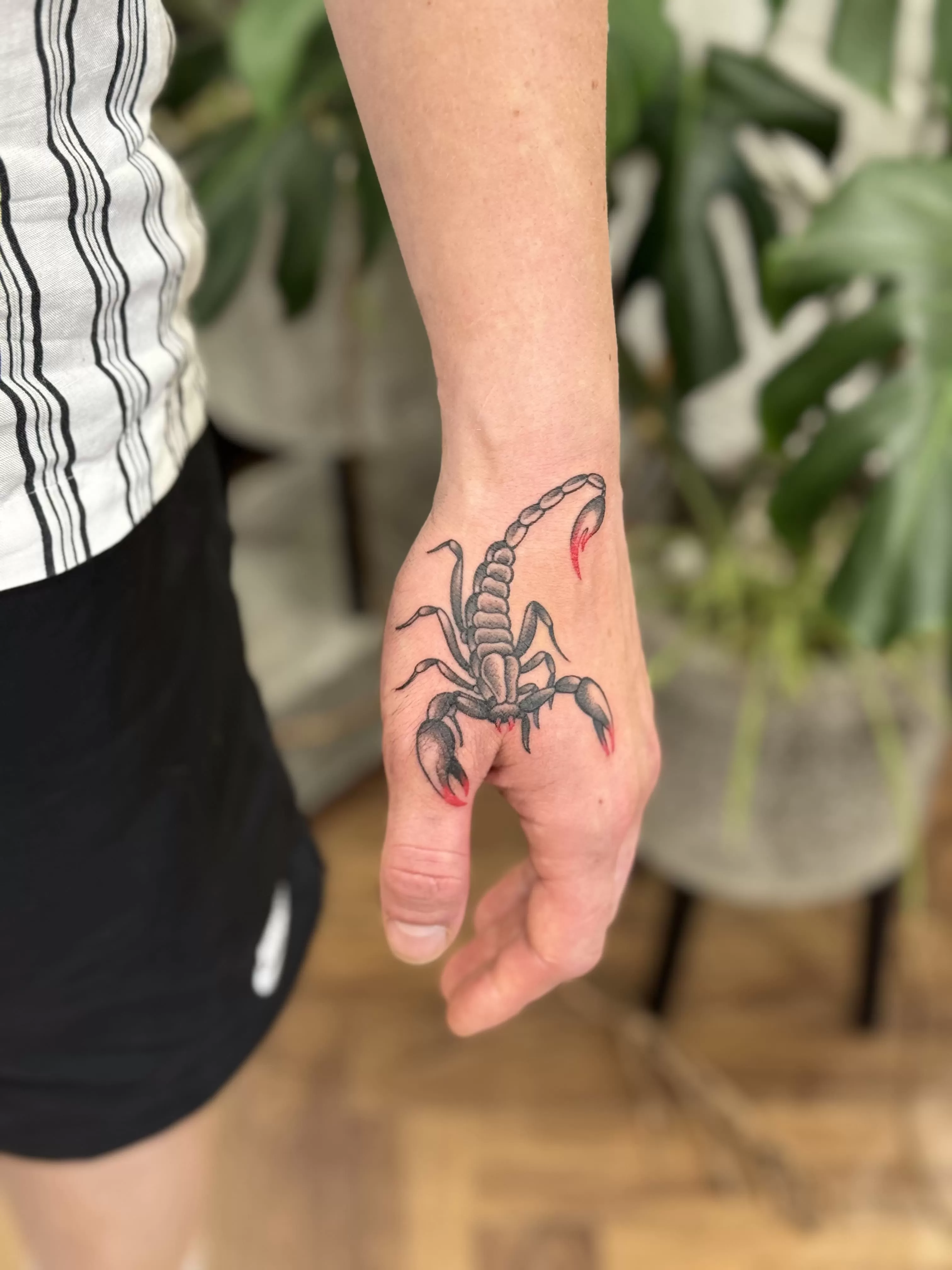 1772696635 Photo 4 9 24 16 11 51