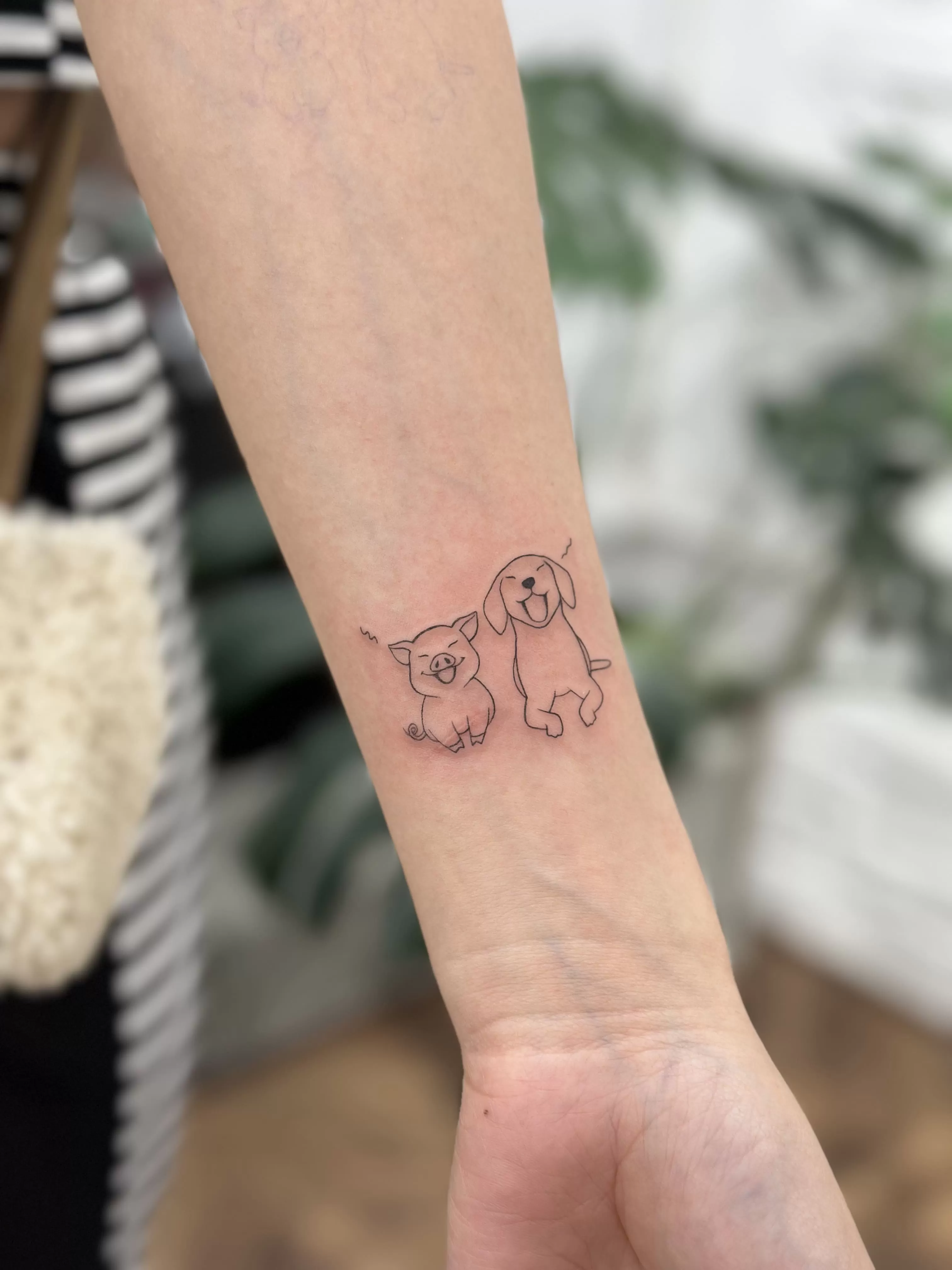 1772697869 Photo 06 01 2024 16 35 27