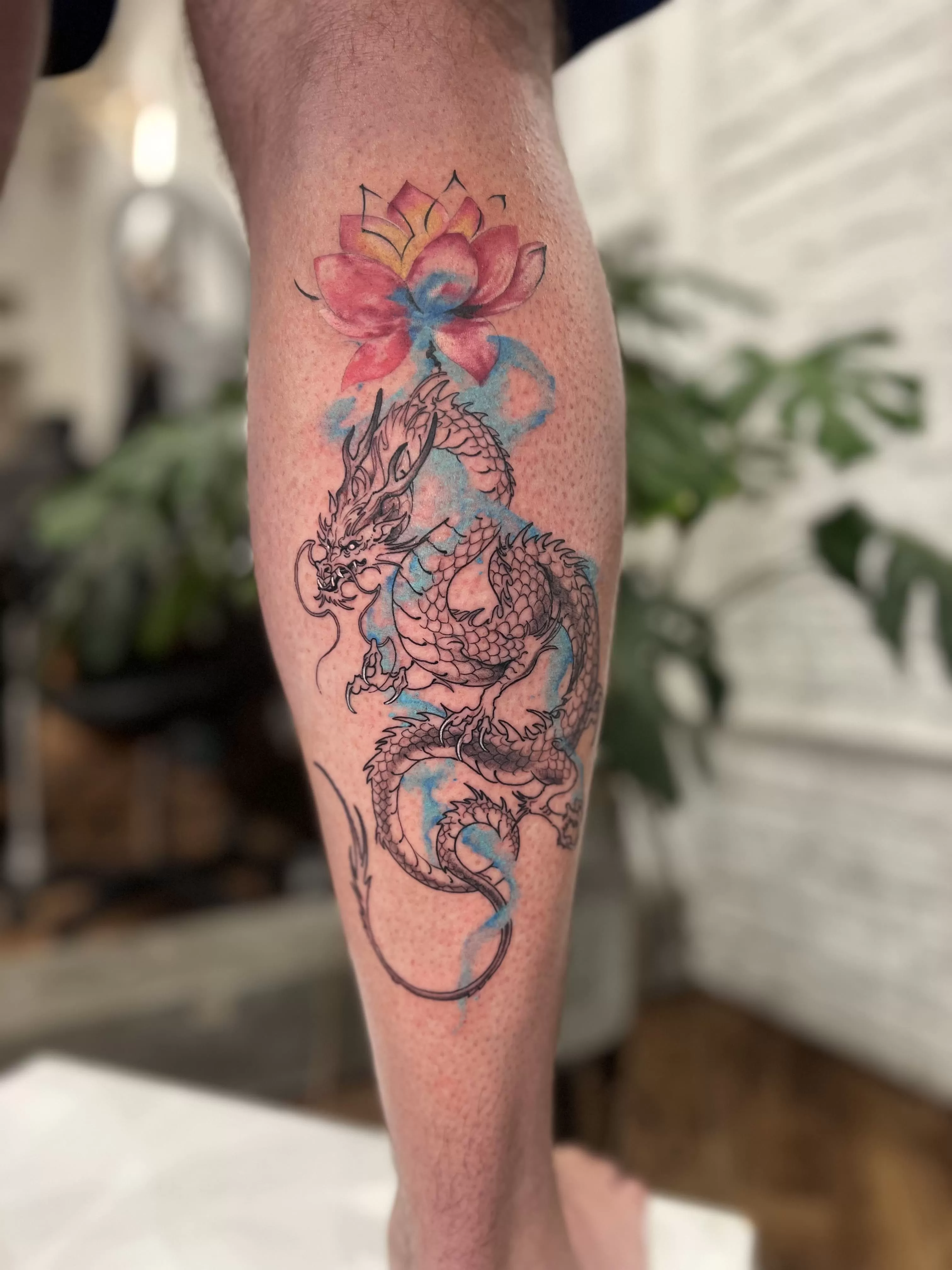 1772851004 Photo 5 3 25 15 53 25