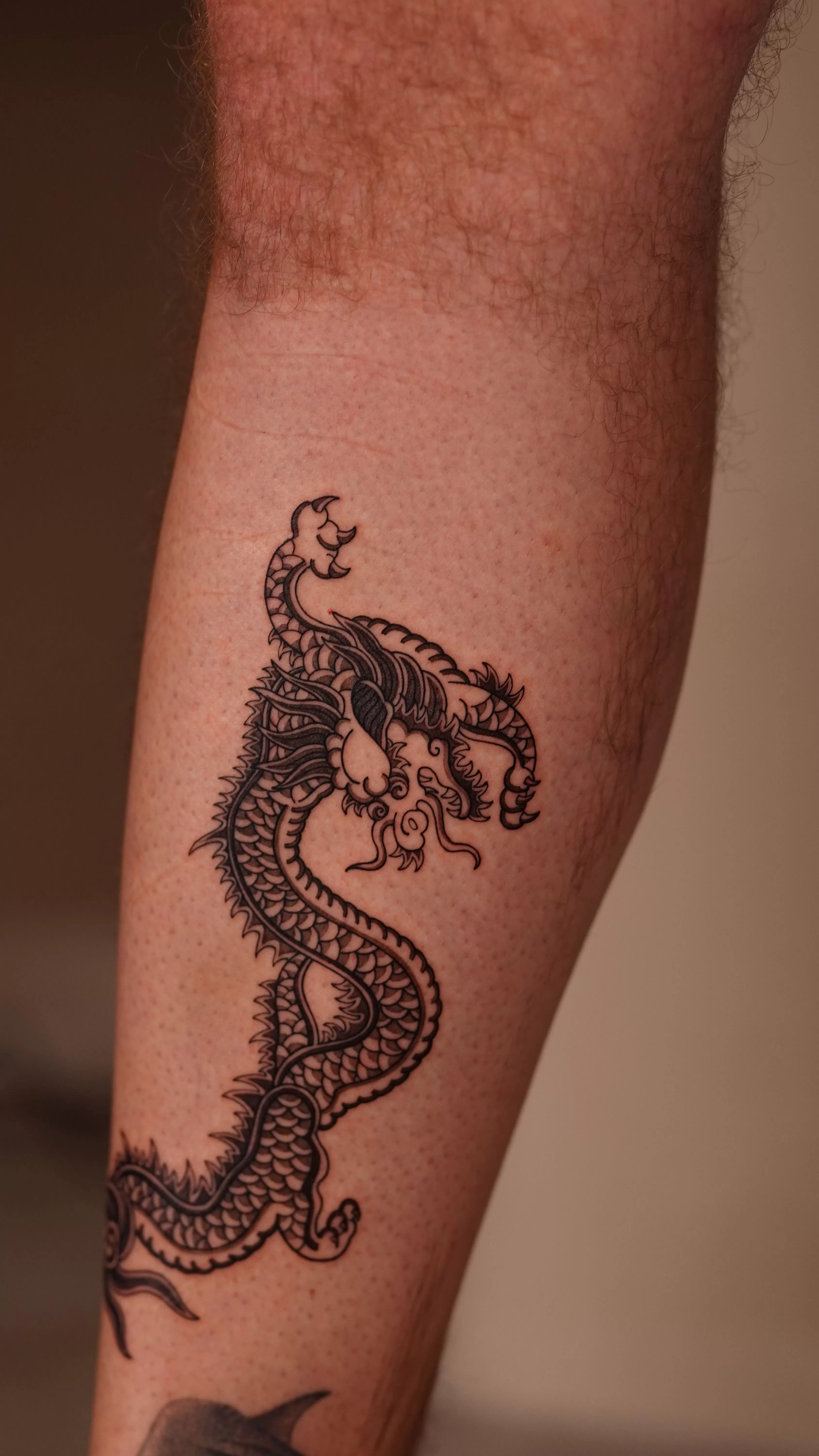 1772851639 1 1 1 1 1