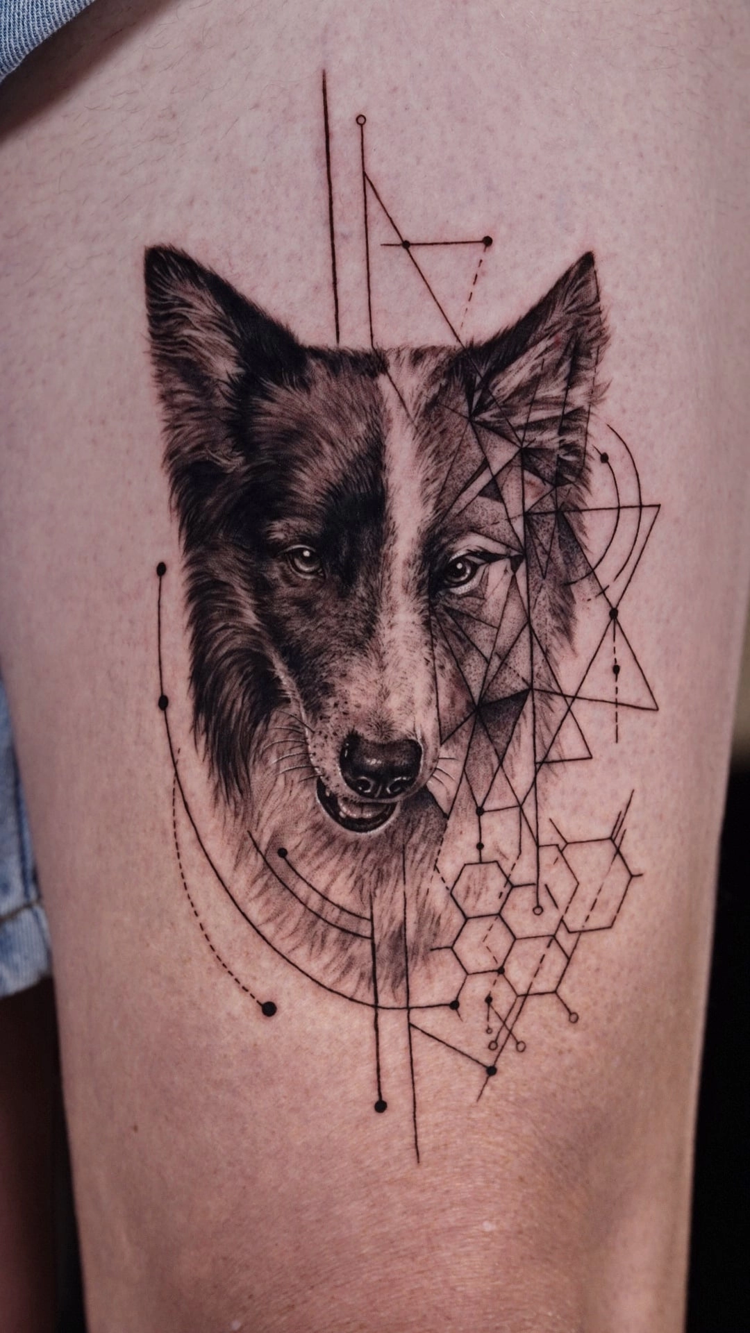 The Ultimate Guide to Realism Tattoos (2026) - Chapter 2 — The Evolution of Realism Tattoo